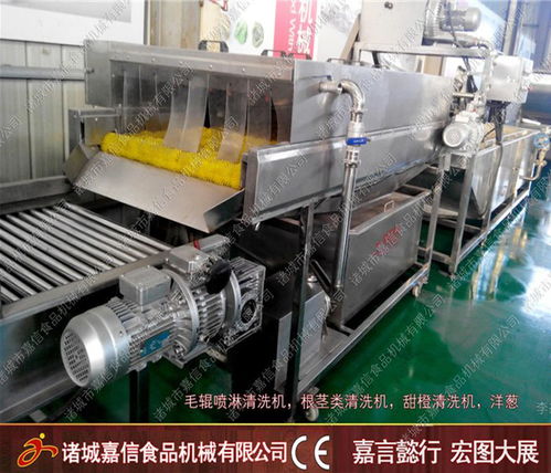 白菜氣泡清洗加工機一站式服務專業團隊在線服務